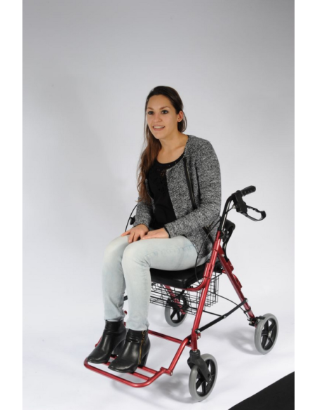 Andador - silla transferencia
