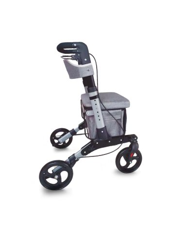 Andador carro-compra