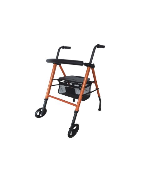 Andador de dos ruedas elegante